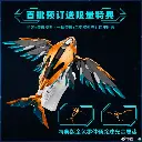 410.webp