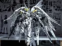 506414389_1261941792472311_3329986643671977047_n.webp