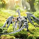 179.webp