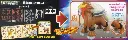 10134819a2.webp