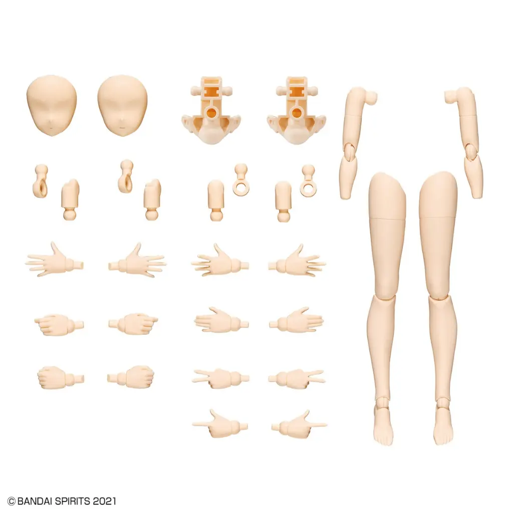 bans63712_2.webp