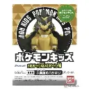 POKEMON KIDS KLEAVOR