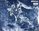 MG BANDAI ASTRAY OUT FRAME D PBANDAI